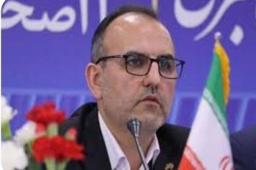 رفع موانع توسعه فیبر نوری با حمایت وزارت ارتباطات قابل انجام است